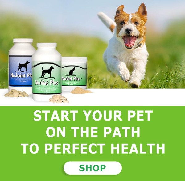 Nuvet Pet Dogs Cats Supplemets Immune Support Phone19.jpg