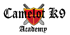 Logo Camelot Academy.png