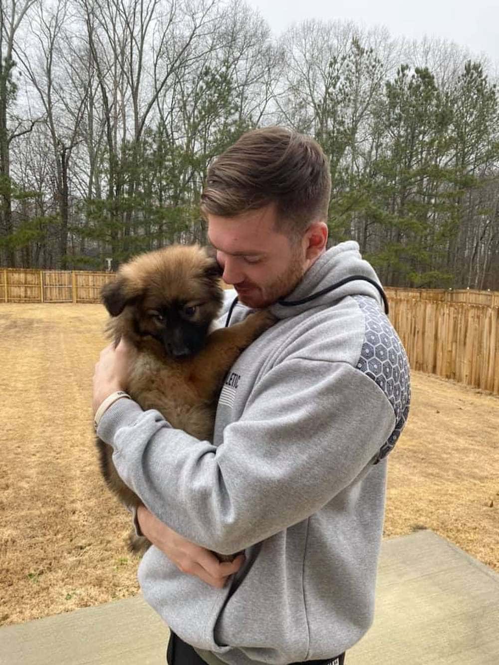 Mason's Camelot German Shepherd puppy