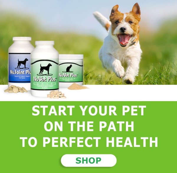 NuVet Vitamins and Joint supplements