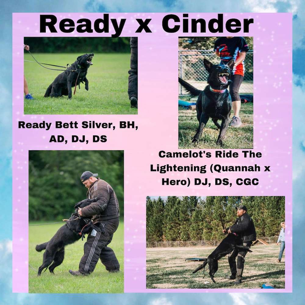 Cinder and Ready