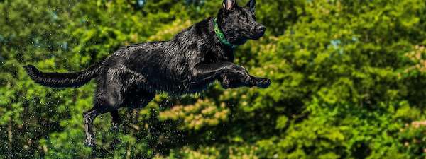 Cinder and Creed (Past)